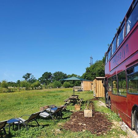 Dartmoor Reach Alpaca Farm Heated Cabins 5 Mins Drive To Dartmoor Bovey Tracey Eksteriør billede