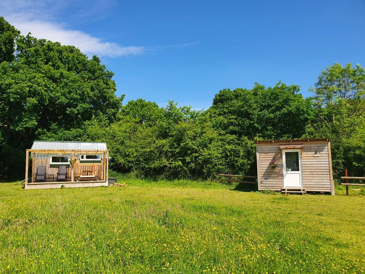 Dartmoor Reach Alpaca Farm Heated Cabins 5 Mins Drive To Dartmoor Bovey Tracey Eksteriør billede