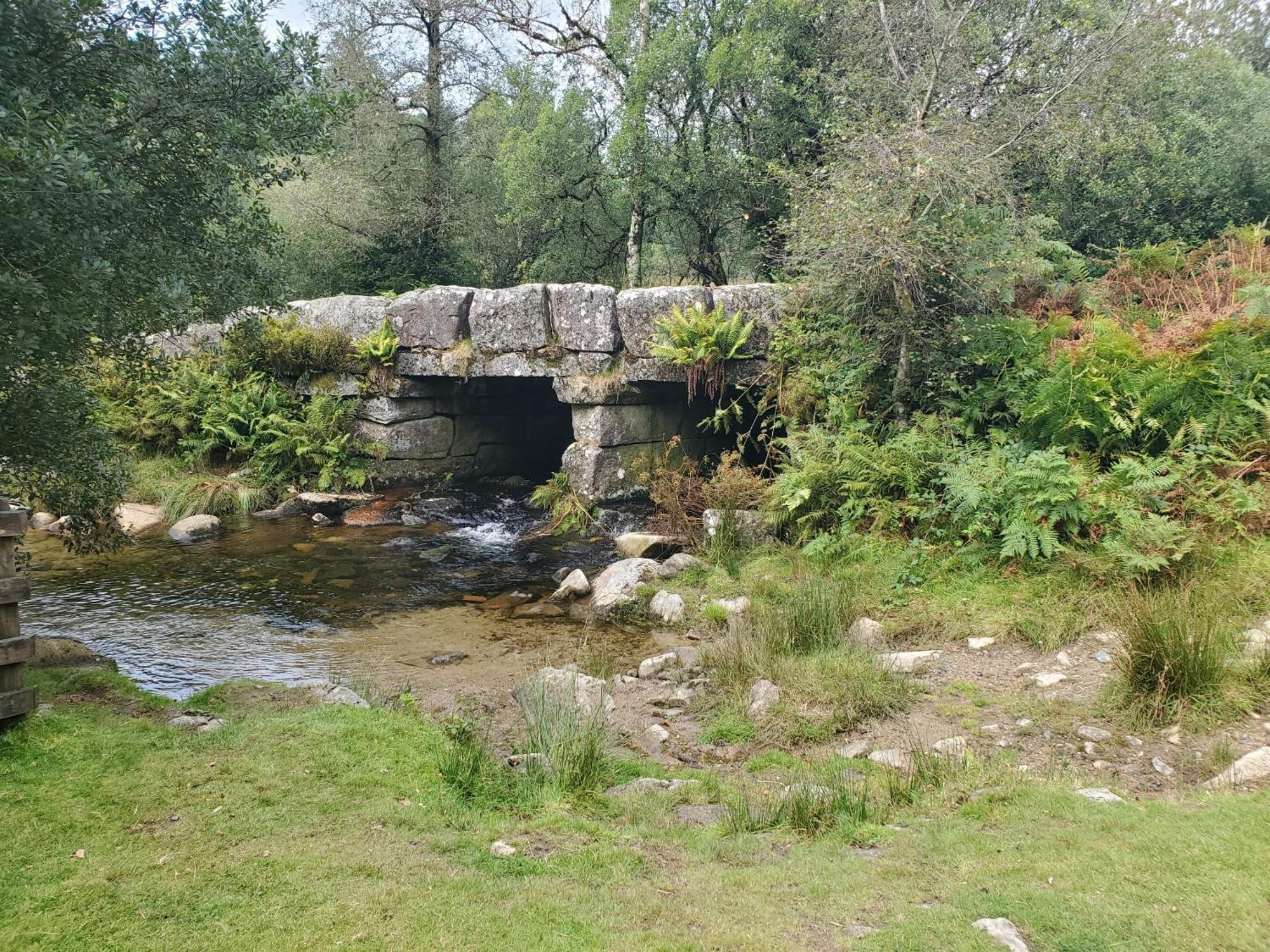 Dartmoor Reach Alpaca Farm Heated Cabins 5 Mins Drive To Dartmoor Bovey Tracey Eksteriør billede