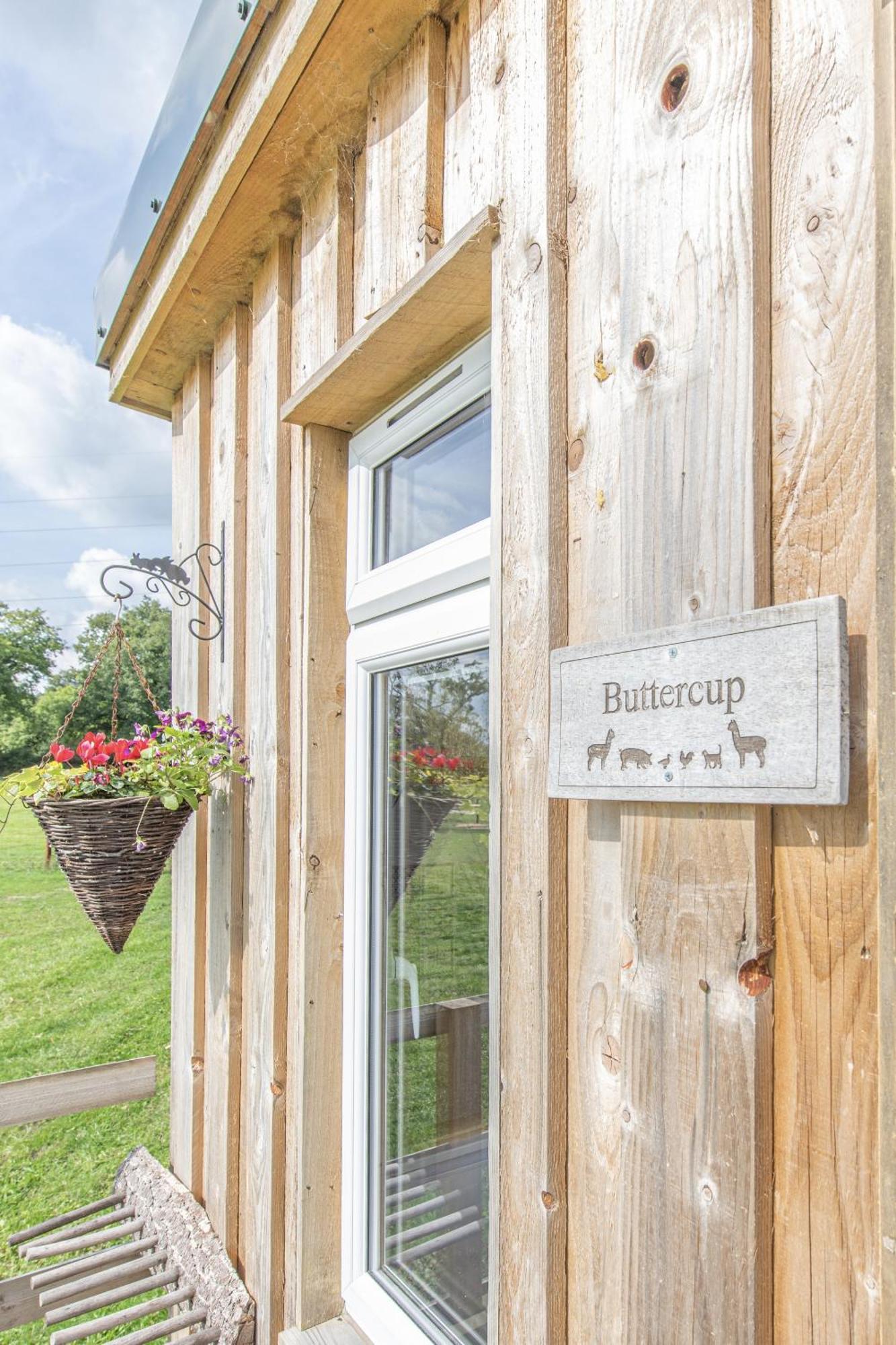 Dartmoor Reach Alpaca Farm Heated Cabins 5 Mins Drive To Dartmoor Bovey Tracey Værelse billede
